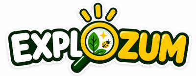 Explozum